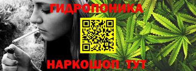apvp Рузаевка